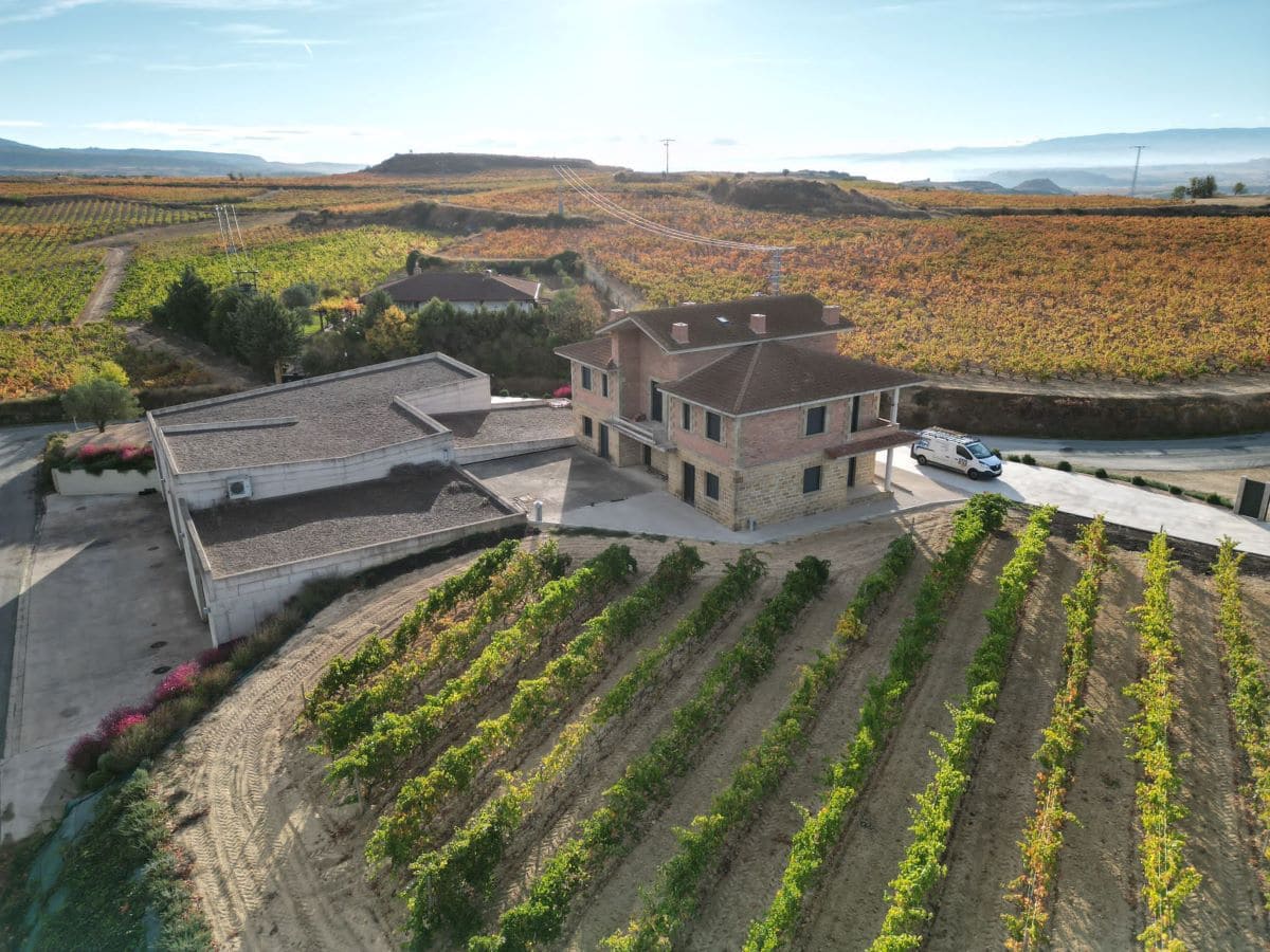 bodegsa finca de la rica