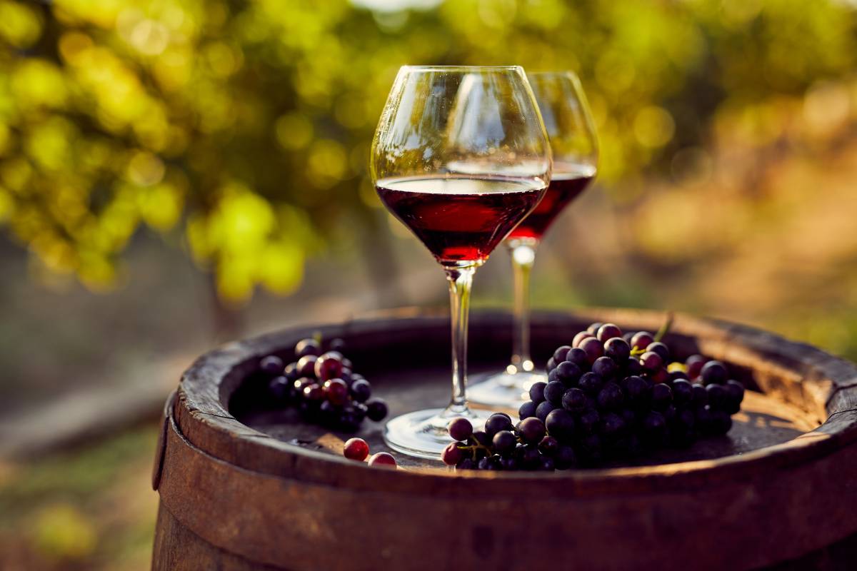 mejores anadas ribera del duero