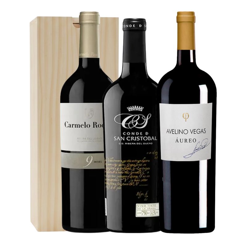 pack ribera del duero (2)